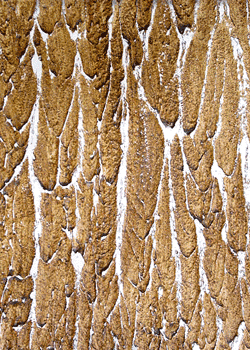 Textura 12